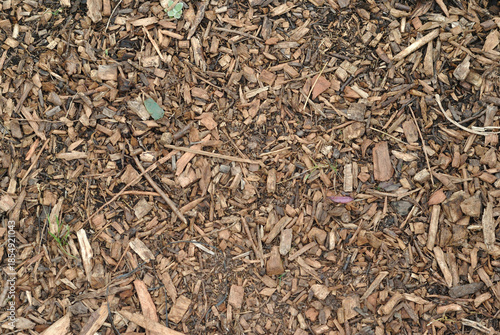 Natural Bark Mulch on Ground in Close Up 