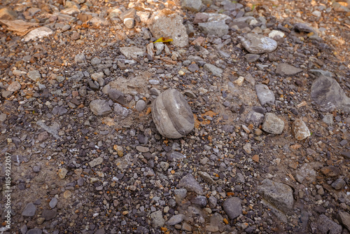 stones on the beach