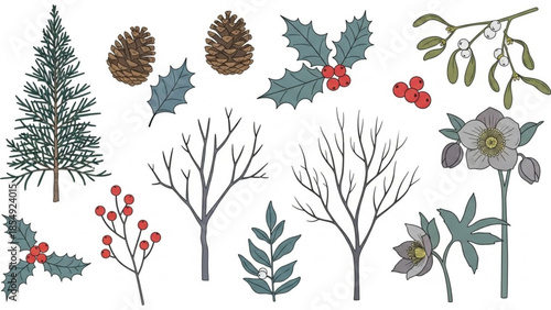Christmas botanical illustrations of trees, flowers, berries, and foliage on white background, including pine, holly, mistletoe, and blossoms