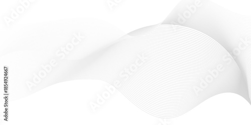 Vector wave digital white and gray gradient blend futuristic technology. flow tech transparent line stripe energy connection web music and sound. beautiful dynamic smooth space texture background.