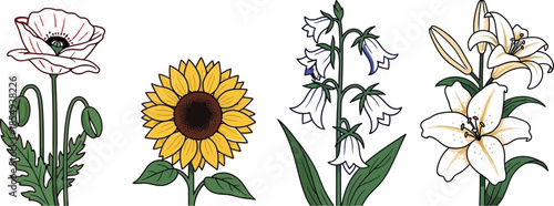 Vibrant floral illustrations of four distinct flowers