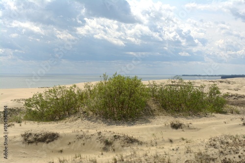 Sand dunes of the Curonian Spit, the Baltic Sea, Kaliningrad Oblast, Russia
