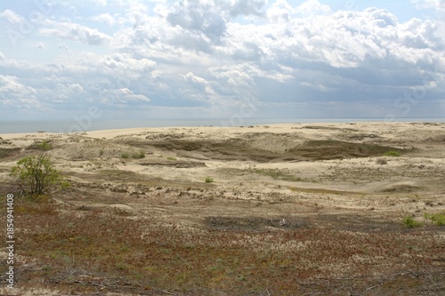Sand dunes of the Curonian Spit, the Baltic Sea, Kaliningrad Oblast, Russia