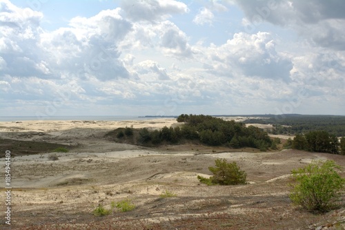 Sand dunes of the Curonian Spit, the Baltic Sea, Kaliningrad Oblast, Russia