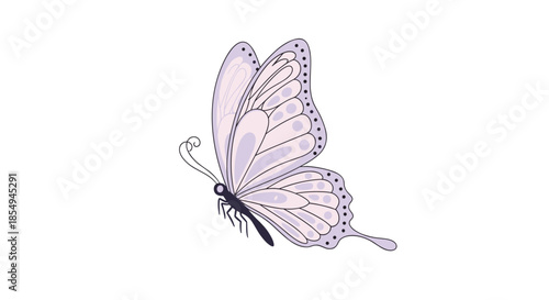 Elegant light purple butterfly with delicate wing patterns and antennae is illustrated in a side view against a plain white background.