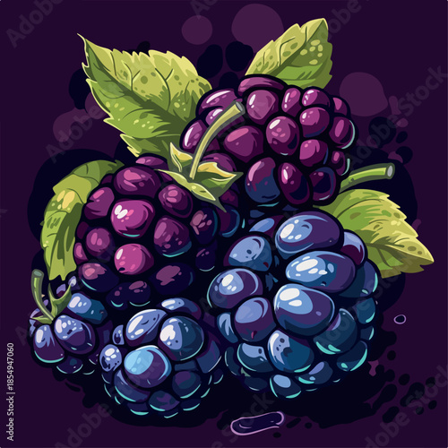 fresh, blackberry, food, fruit, background, dessert, design, berry, illustration, healthy, leaf, health, nature, green, diet, summer, isolated, vitamin, natural, freshness, delicious, wild, white, 