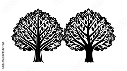 a completely black screen dominates the entire visual field offering no discernible details or features for recognition or interpretation high quality professional detailed modern elegant stylish