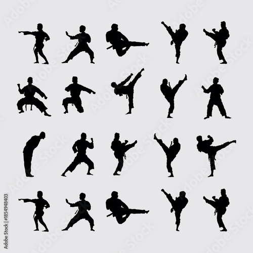 Dynamic Martial Arts Silhouettes Collection