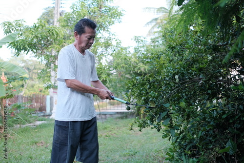 Fotografia A man is trimming a tree in his yard