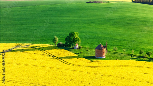A picturesque landscape with a windmill nestled between vibrant green and yellow fields.