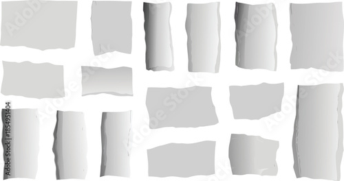 Collection of Tattered Paper Strips