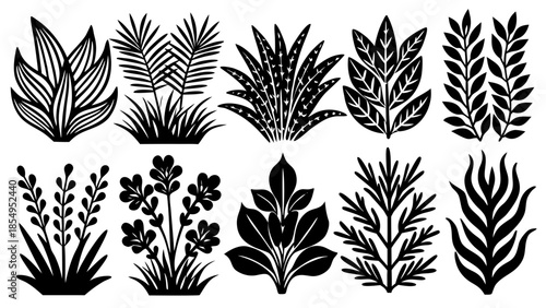a collection of various stylized tropical leaves and plants arranged in a symmetrical grid pattern