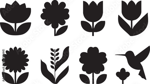 Black and white flower vector set: floral designs, hummingbird illustration eps silhouette