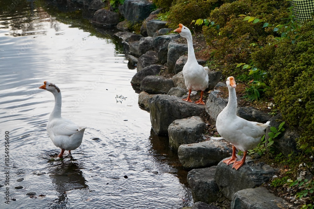 Fototapeta premium Kawaba Denen Plaza Gunma Japan October 2025 川場田園プラザ