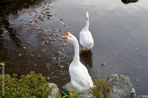 Kawaba Denen Plaza Gunma Japan October 2025 川場田園プラザ