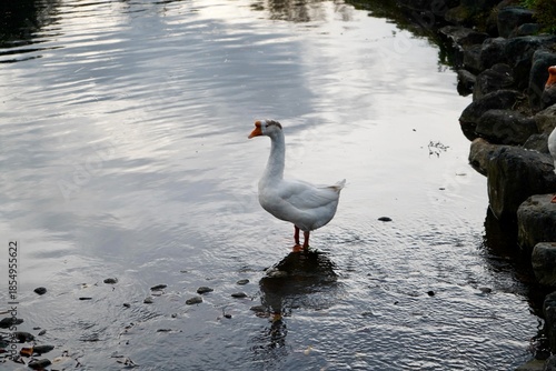Kawaba Denen Plaza Gunma Japan October 2025 川場田園プラザ
