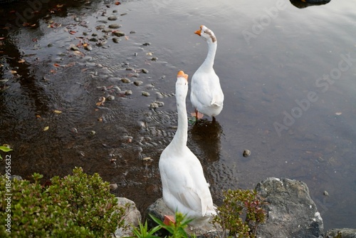 Kawaba Denen Plaza Gunma Japan October 2025 川場田園プラザ
