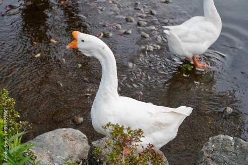 Kawaba Denen Plaza Gunma Japan October 2025 川場田園プラザ