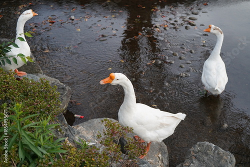 Kawaba Denen Plaza Gunma Japan October 2025 川場田園プラザ