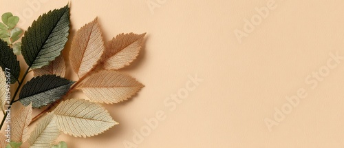 Autumnal leaves in various shades over a warm background. Nature's touch