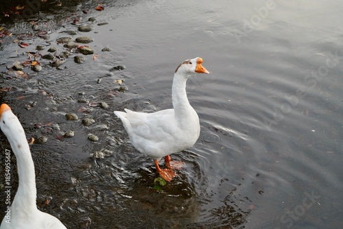 Kawaba Denen Plaza Gunma Japan October 2025 川場田園プラザ