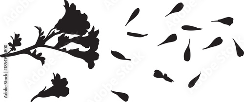 Black flower silhouette vector: floral branch with falling petals eps