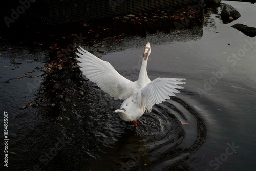 Kawaba Denen Plaza Gunma Japan October 2025 川場田園プラザ
