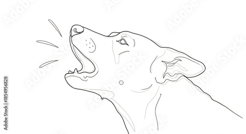 White outline of a dog howling on black background barking animal