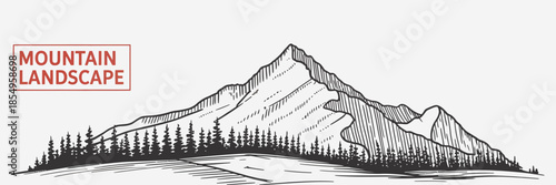Hand drawn mountain landscape with spruce and fir forest. Minimalist evergreen trees vector sketch, rugged alpine peaks illustration, wilderness nature scene for outdoor adventure branding.