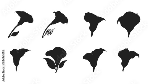 A collection of calla lily silhouettes in various stages and angles of bloom on white background