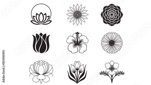 Collection of various flower illustrations in black and white