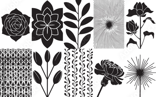 A collection of black and white botanical illustrations featuring flowers and leaves from various viewpoints.