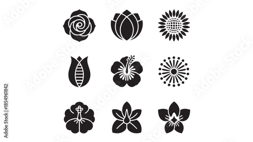 Collection of various minimalist flower illustrations displayed on a clean white background