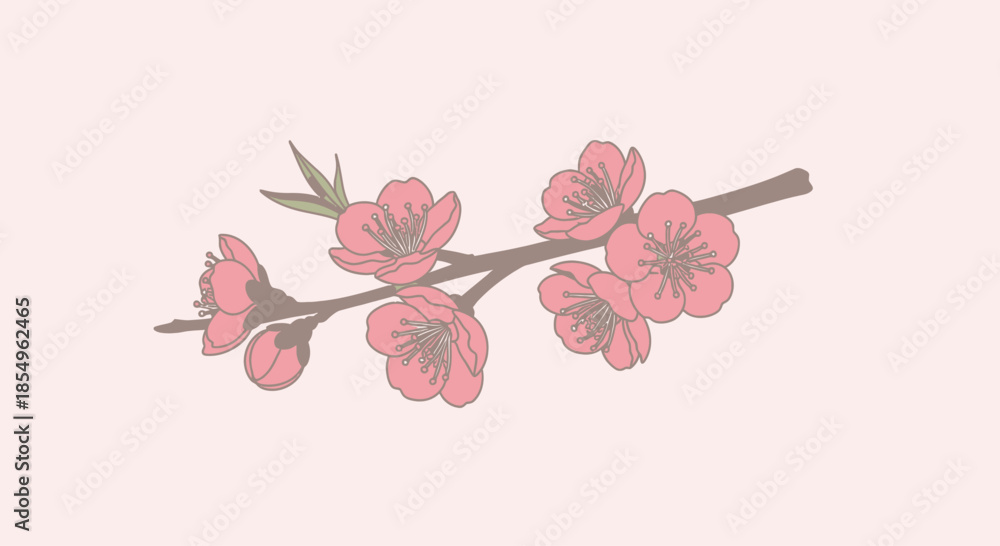 Obraz premium Delicate Pink Blossom Branch on Pastel Background