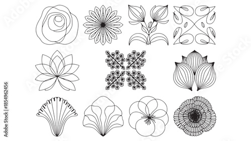 A collection of intricate floral illustrations showcasing various botanical designs and patterns