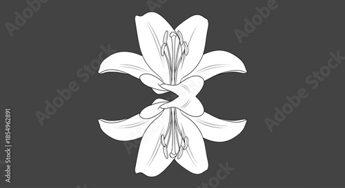 Symmetrical White Lily Flowers Mirrored Illustration on Dark Gray Background
