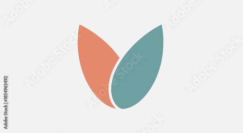 Abstract organic shapes in coral and teal colors on a light gray background