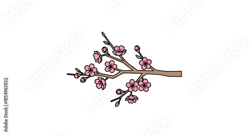 Delicate Pink Cherry Blossom Branch with Buds on White Background