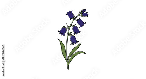Bluebell Flower Illustration - Delicate Spring Blossom Botanical Art