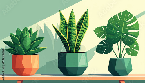 Vector Illustration Icon Set of Office Greenery Featuring Potted Snake Plant Sansevieria for Interior Decoration and Workspace Design