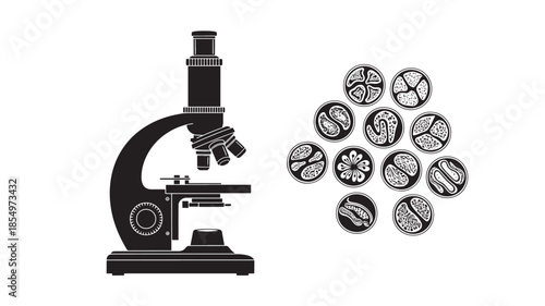 Microscope and cell structures a black and white scientific illustration