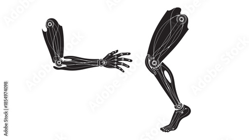 Detailed illustration of robotic arm and leg prosthetics showcasing biomechanical design