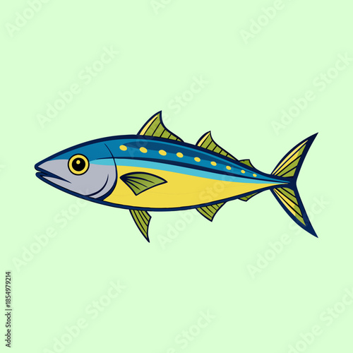 vector illustration of a spanish mackerel
