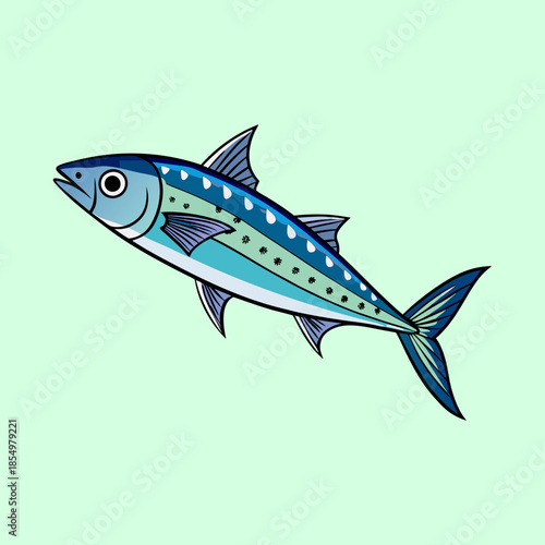 vector illustration of a spanish mackerel