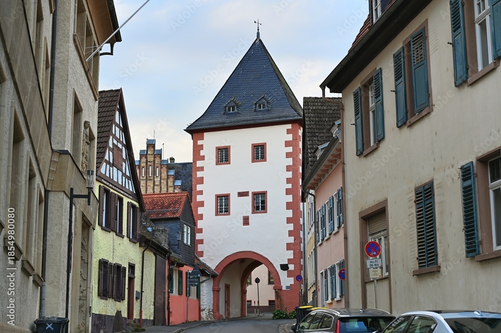Fototapeta premium Gautor in Oppenheim