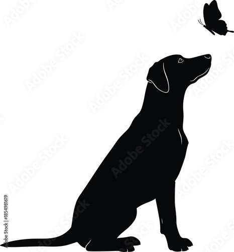 Vector silhouette illustration of a cute sitting dog looking up at a flying butterfly isolated on white background for nature concept