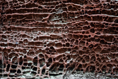 Buntsandstein bei Hauenstein