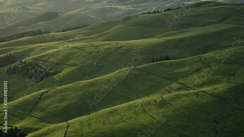 Expansive Emerald Rolling Hillscape Under Soft Daylight Across Verdant Countryside