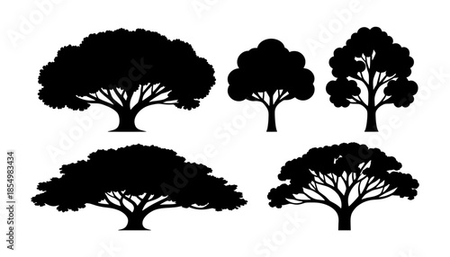 silhouette of tree set on white background.