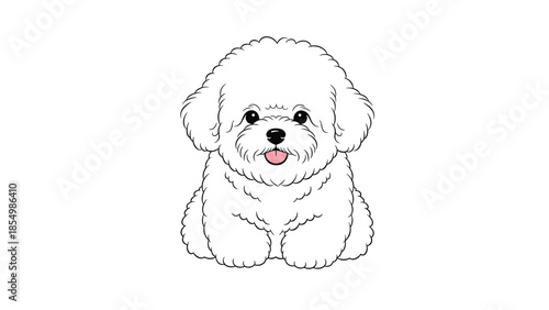 Cute white fluffy Bichon Frise puppy sitting and sticking its tongue out with a happy and very joyful look.